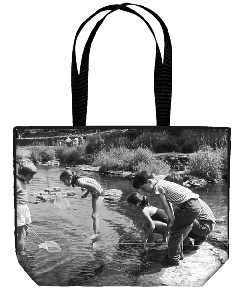 Children Fish in Stream