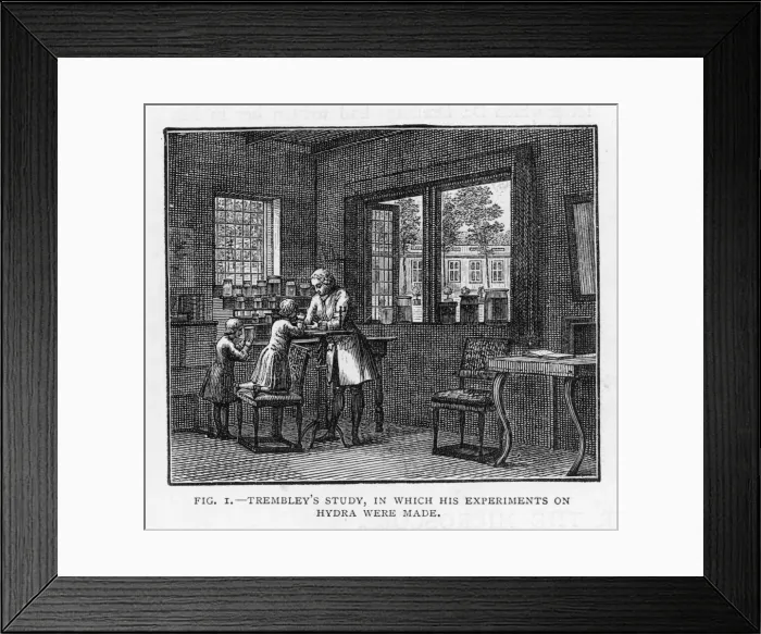 Framed Print : Trembley in his Study Framed Print : Trembley in his Study