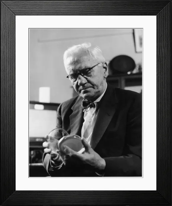 Framed Print : Fleming in his Lab 1952 Framed Print : Fleming in his Lab 1952