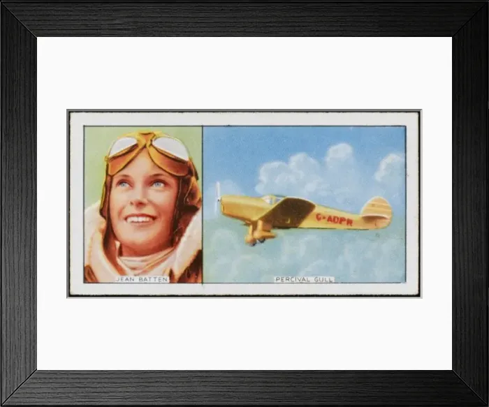 Framed Print : Batten / Percival Gull Framed Print : Batten / Percival Gull