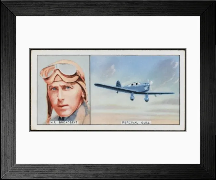 Framed Print : Broadbent / Percival Gull Framed Print : Broadbent / Percival Gull