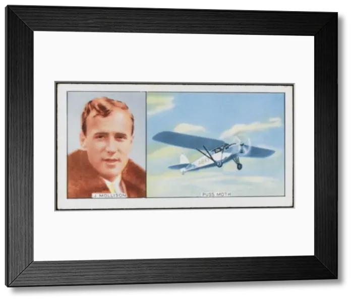 Framed Print : Mollison / Puss Moth Plane Framed Print : Mollison / Puss Moth Plane
