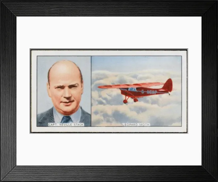 Framed Print : Stack / Leopard Moth Plane Framed Print : Stack / Leopard Moth Plane