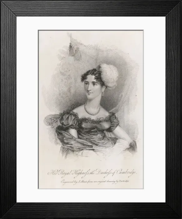 Framed Print : Cambridge / Partridge Framed Print : Cambridge / Partridge