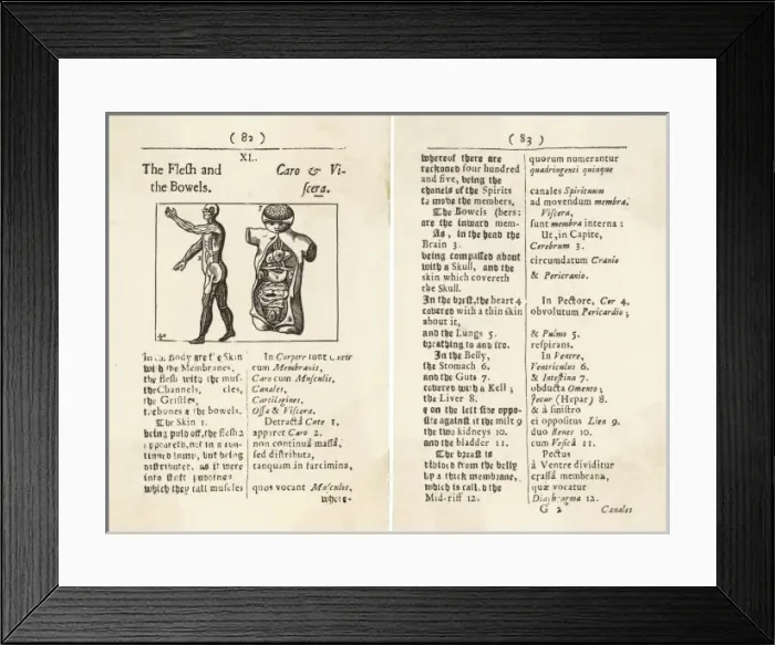 Framed Print : Flesh & Bowels / Woodcut Framed Print : Flesh & Bowels / Woodcut