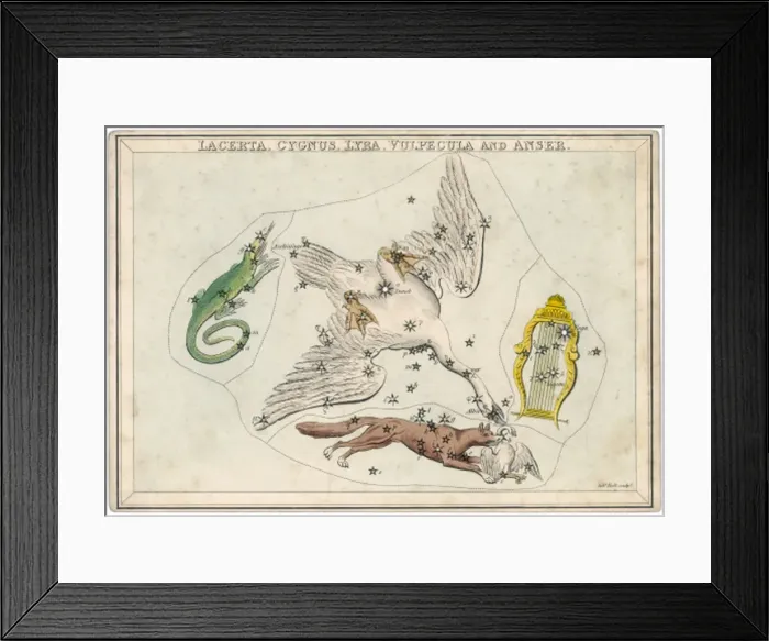 Framed Print : Swan Etc Star Map Framed Print : Swan Etc Star Map