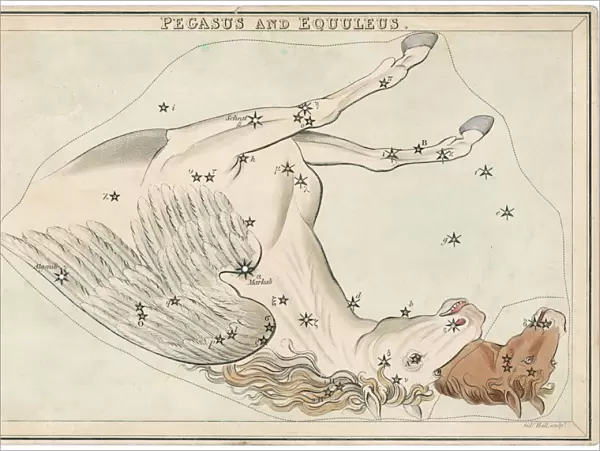 Pegasus Star Map