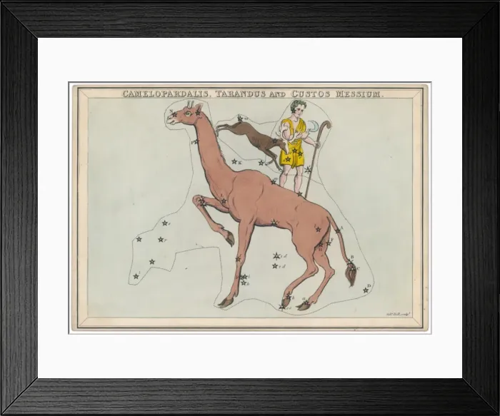 Framed Print : Guard Star Map
