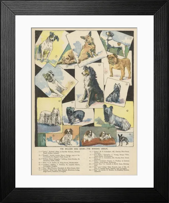Framed Print : Dog Show Winners 1893 Framed Print : Dog Show Winners 1893