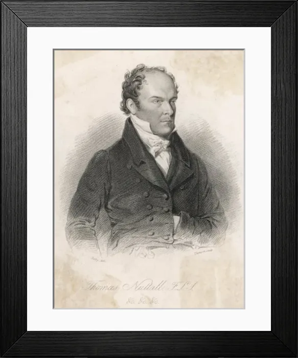 Framed Print : Thomas Nuttall Framed Print : Thomas Nuttall
