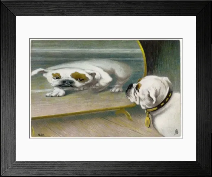 Framed Print : Bulldog Distorted - 1 Framed Print : Bulldog Distorted - 1