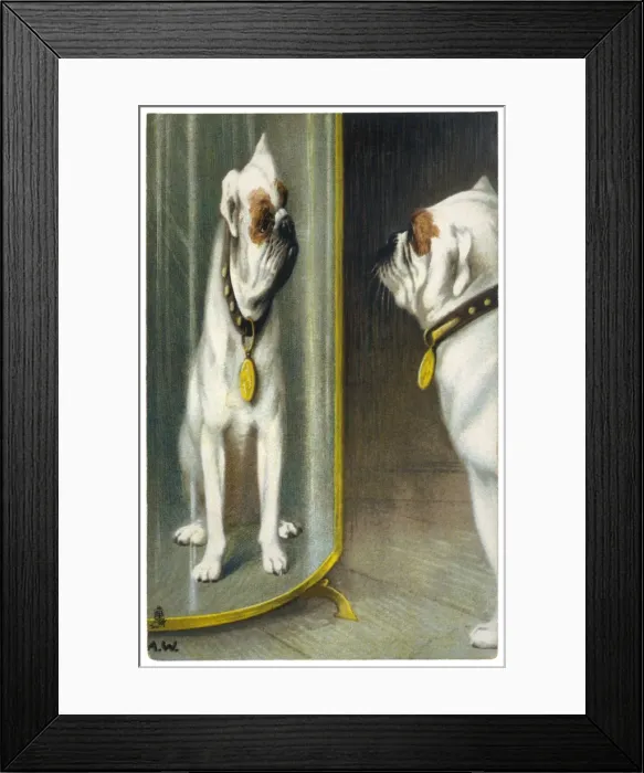 Framed Print : Bulldog Distorted - 2 Framed Print : Bulldog Distorted - 2