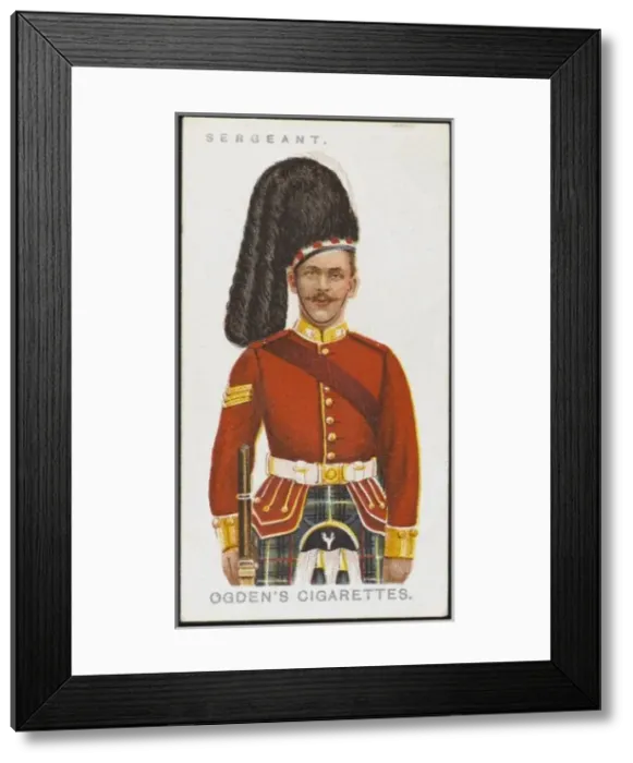 Framed Print : Seaforth Sergeant Framed Print : Seaforth Sergeant