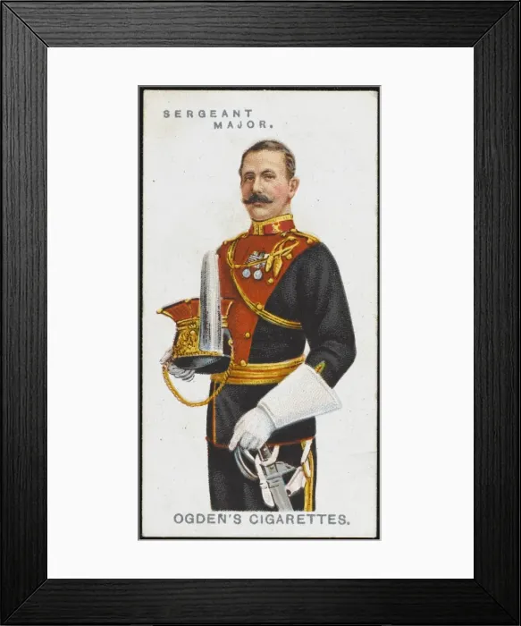Framed Print : Sergeant Major Framed Print : Sergeant Major