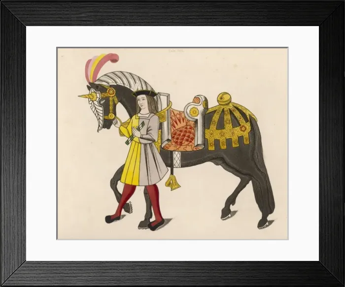 Framed Print : Horse Caparisoned Framed Print : Horse Caparisoned