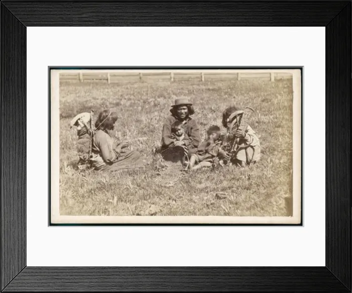 Framed Print : Washoe Family Group Framed Print : Washoe Family Group