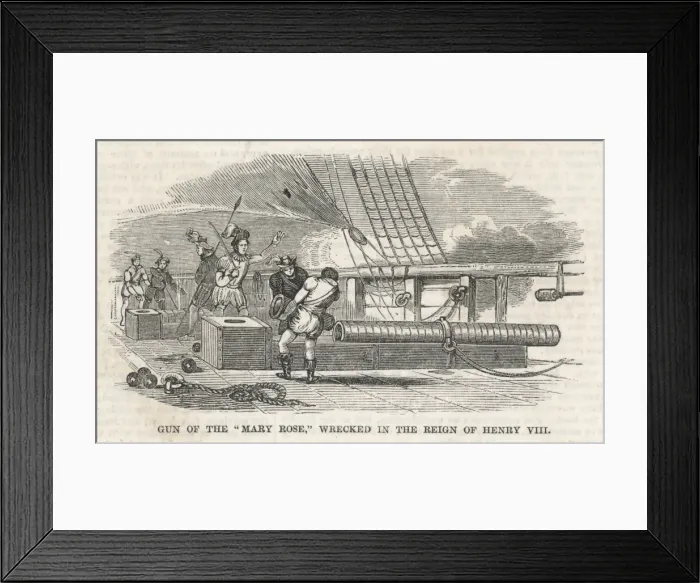 Framed Print : CANNON ON MARY ROSE Framed Print : CANNON ON MARY ROSE