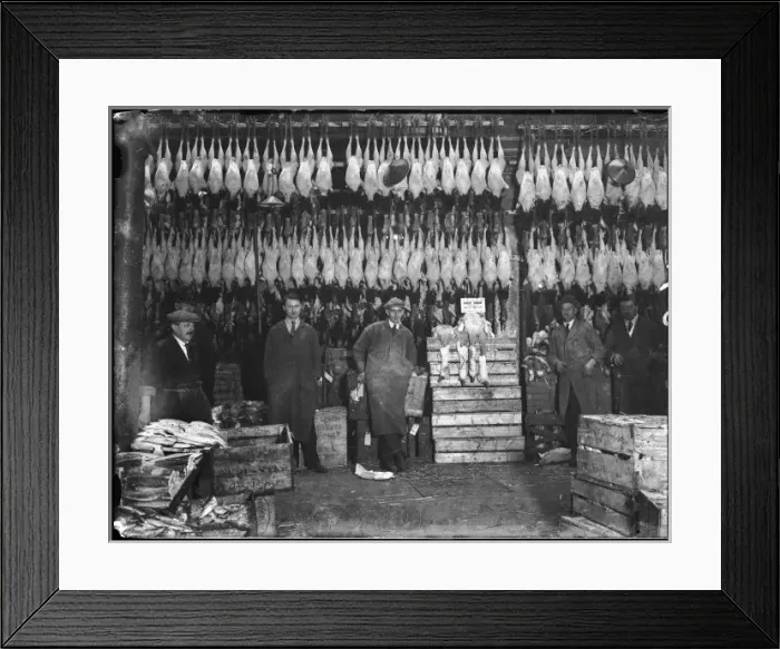 Framed Print : Turkeys in Poulterers Framed Print : Turkeys in Poulterers