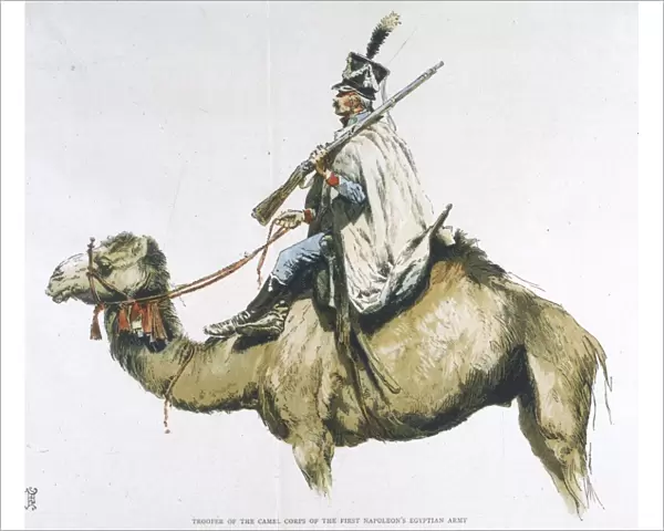 French Camel Corps 1798