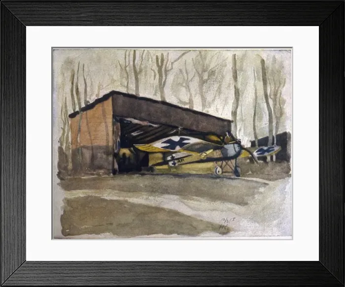 Framed Print : Monoplane Hidden in Tree Framed Print : Monoplane Hidden in Tree