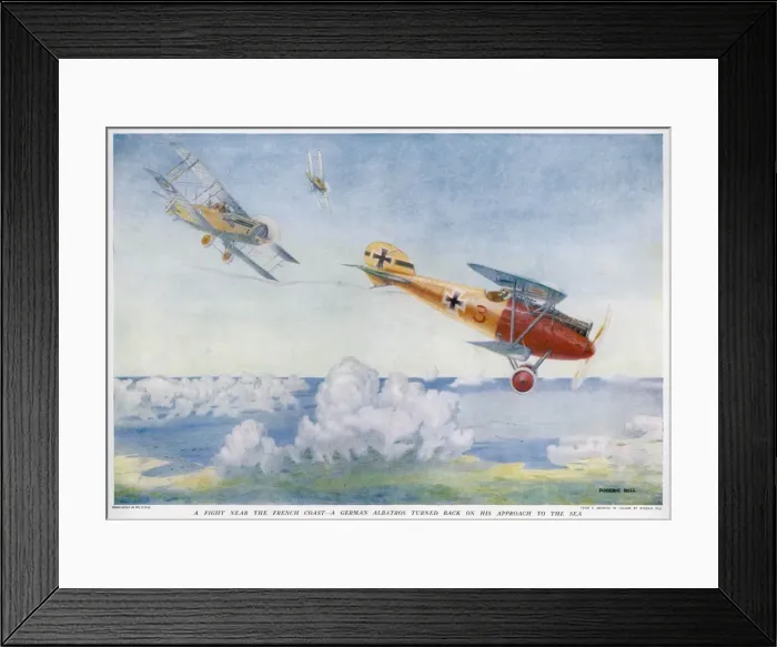 Framed Print : Albatross Pursued by Raf Framed Print : Albatross Pursued by Raf