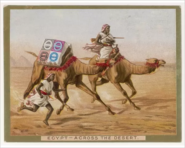 Huntley Camel 1890