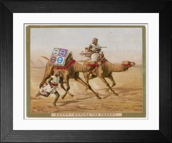 Framed Print : Huntley Camel 1890 Framed Print : Huntley Camel 1890
