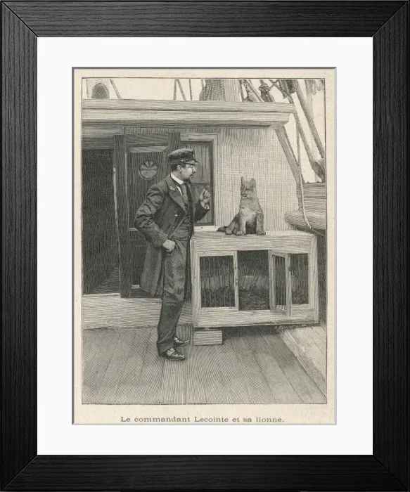 Framed Print : Belgica / Lecointe / Lion Framed Print : Belgica / Lecointe / Lion