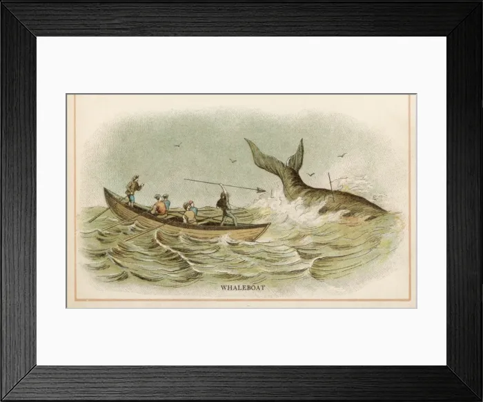 Framed Print : Whaling in 1880 Framed Print : Whaling in 1880