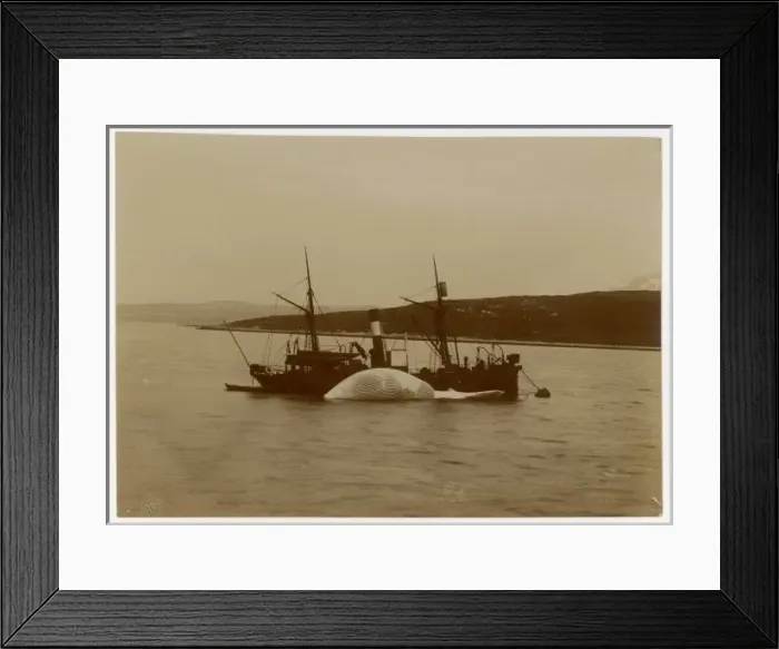 Framed Print : Norwegian Fishing Boat Framed Print : Norwegian Fishing Boat