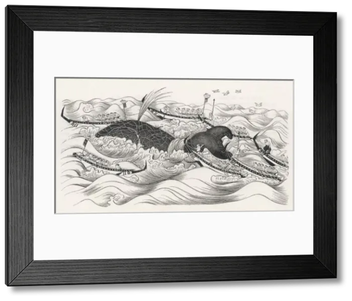 Framed Print : Whaling in Japan Framed Print : Whaling in Japan