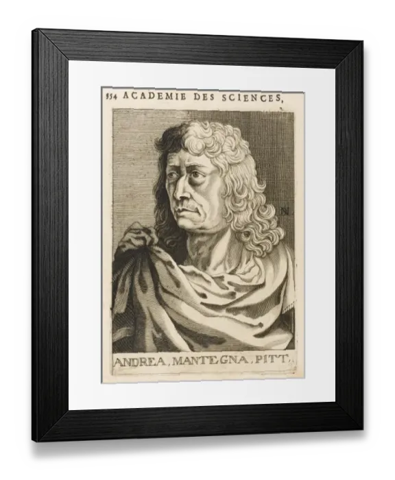 Framed Print : Andrea Mantegna Framed Print : Andrea Mantegna