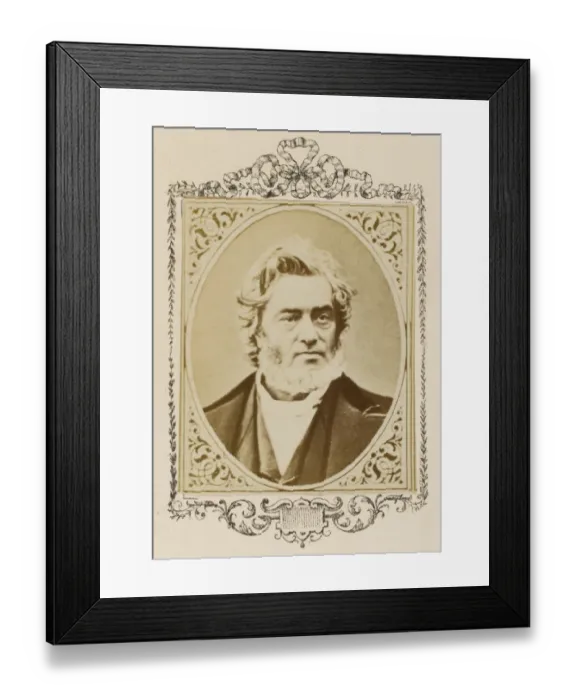 Framed Print : Jules Favre / Figaro Album Framed Print : Jules Favre / Figaro Album