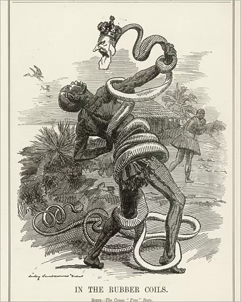 Congo  /  Cartoon  /  Punch  /  1906