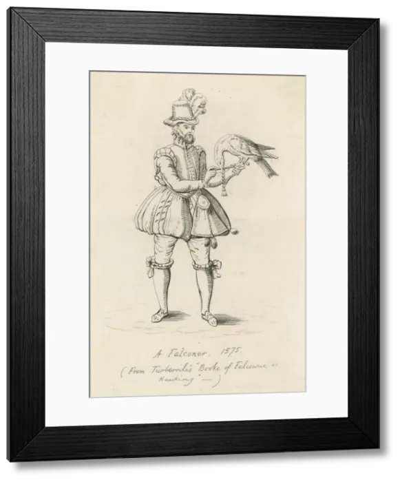 Framed Print : Elizabethan Falconer Framed Print : Elizabethan Falconer