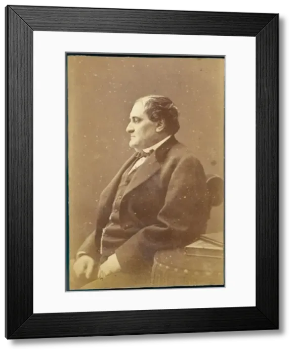 Framed Print : Jcp Bonaparte  /  Photo