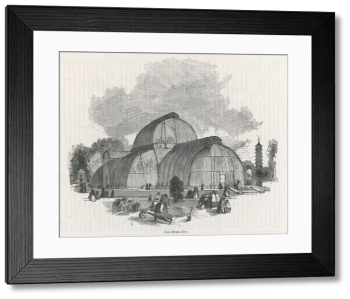 Framed Print : Palm House, Kew Framed Print : Palm House, Kew