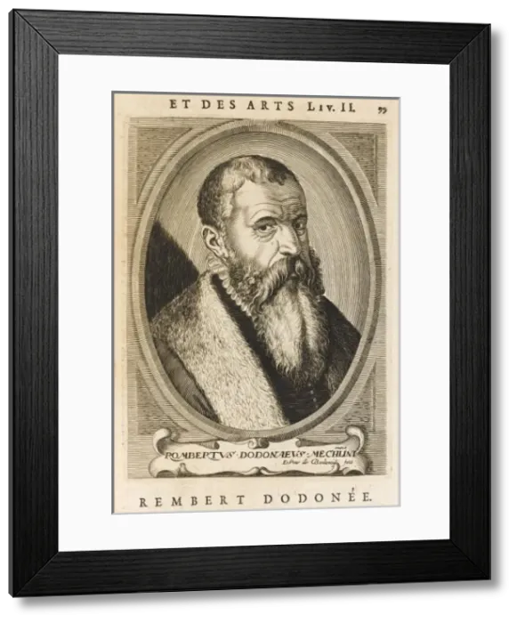 Framed Print : Rembert Dodoens / Boulonoi Framed Print : Rembert Dodoens / Boulonoi