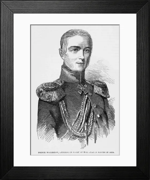 Framed Print : Mikhail Vorontsov Framed Print : Mikhail Vorontsov