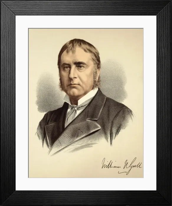 Framed Print : Ww Gull / Colour Lith Framed Print : Ww Gull / Colour Lith