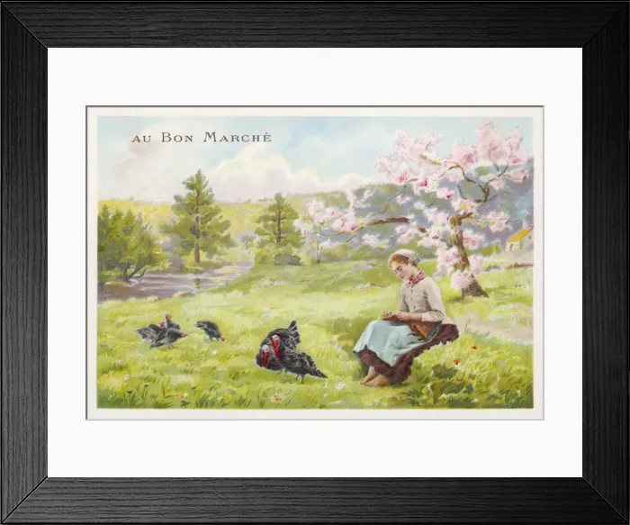 Framed Print : Watching over Turkeys Framed Print : Watching over Turkeys