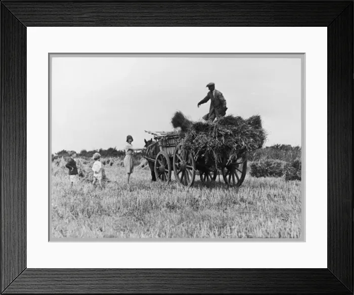 Framed Print : The Hay Wagon (Pugh) Framed Print : The Hay Wagon (Pugh)