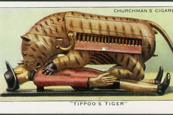 Organ - Tippoos Tiger