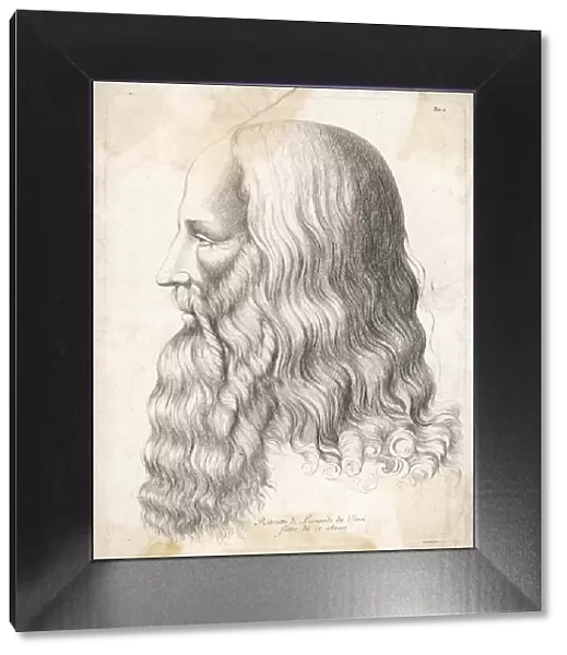 Da Vinci  /  Self  /  Profile