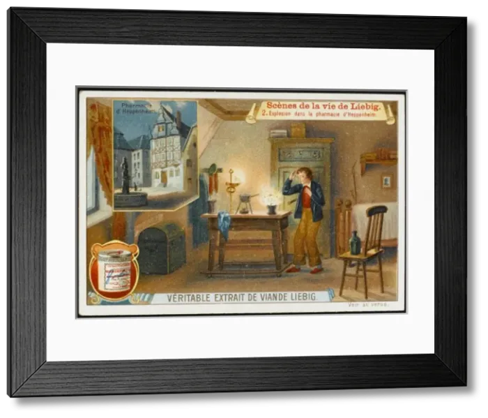 Framed Print : Justus Liebig / 2 of 6 Framed Print : Justus Liebig / 2 of 6
