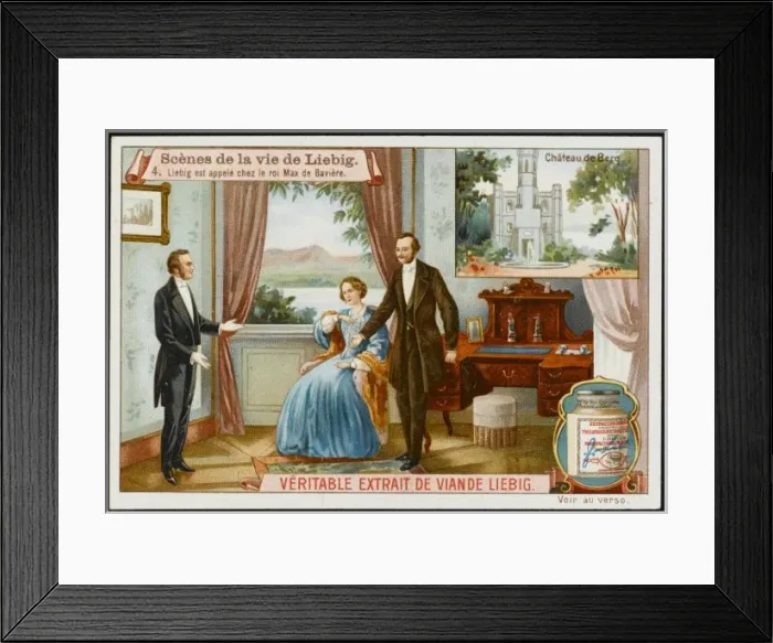 Framed Print : Justus Liebig / 4 of 6 Framed Print : Justus Liebig / 4 of 6
