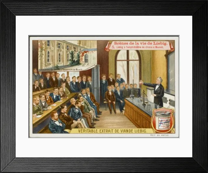 Framed Print : Justus Liebig / 5 of 6 Framed Print : Justus Liebig / 5 of 6
