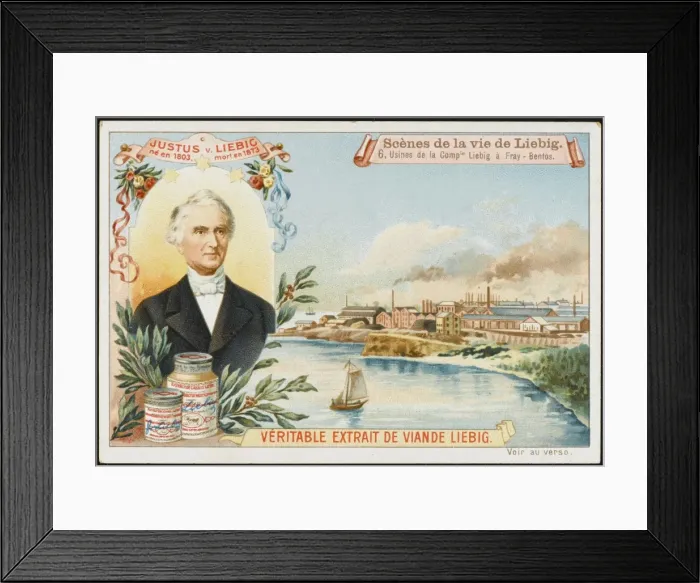 Framed Print : Justus Liebig / 6 of 6 Framed Print : Justus Liebig / 6 of 6