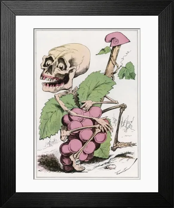 Framed Print : Bloody Harvest 1870 Framed Print : Bloody Harvest 1870