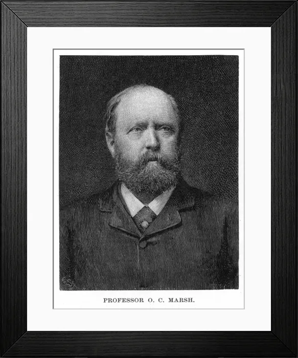 Framed Print : Marsh / Othniel / Harper 97 Framed Print : Marsh / Othniel / Harper 97
